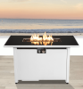 Living Source International 25 H x 42 W Steel Outdoor Fire Pit Table with Lid